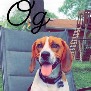 Meet your Posher, Guillermo